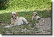 B�ra a Ketty