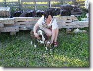 Tak u� m�me doma dva buliky