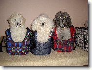 T�i kr�lov�- Sissi, Sunny, Mat�sek