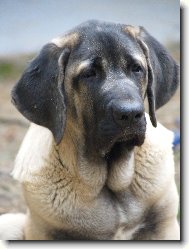  �t�n�  7  m�s�c�