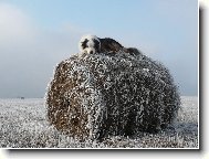 post�lka