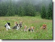 Magis a jeho kamar�ti