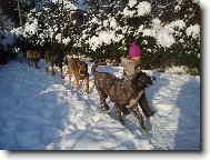 A p�kn� za sebou....