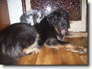 .... spolu je n�m dob�e .....