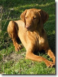 Argo z D���na (5 m�s�c�)