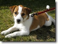 fenka M�a