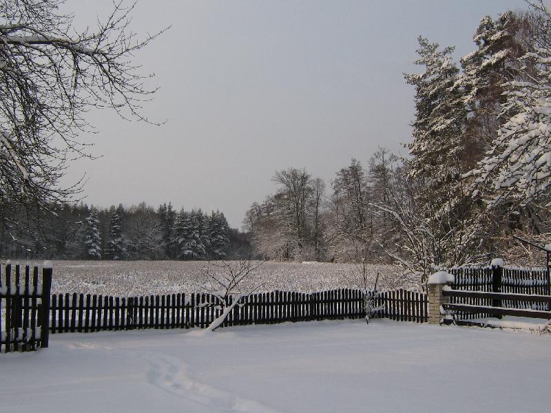 Foto: Zimn� kr�sa