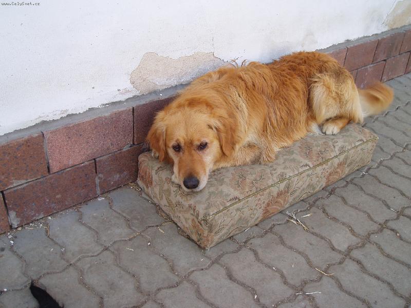 Foto: kuk-pohoda