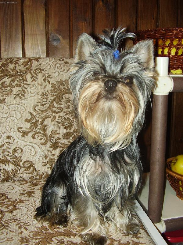 Foto: Roz�rka
