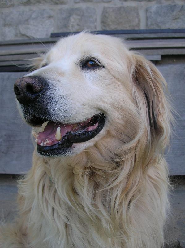 Foto: starou�ek B�ra