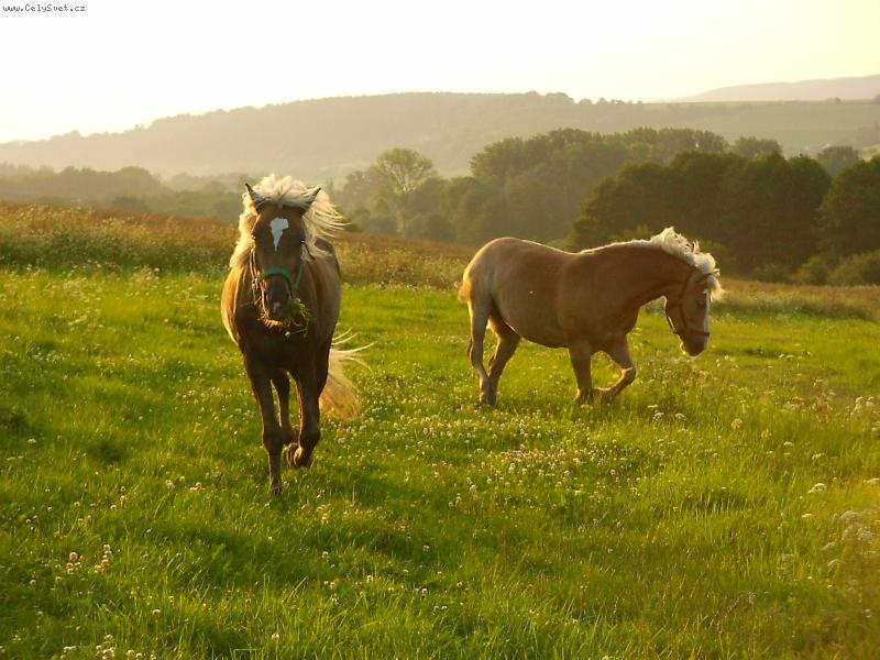 Foto: Klidn� podve�er