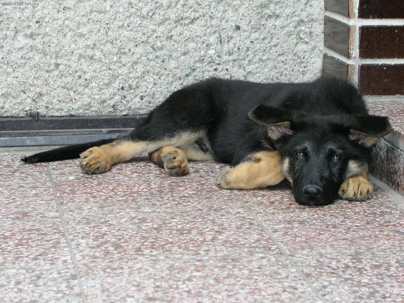 Foto: Unaven