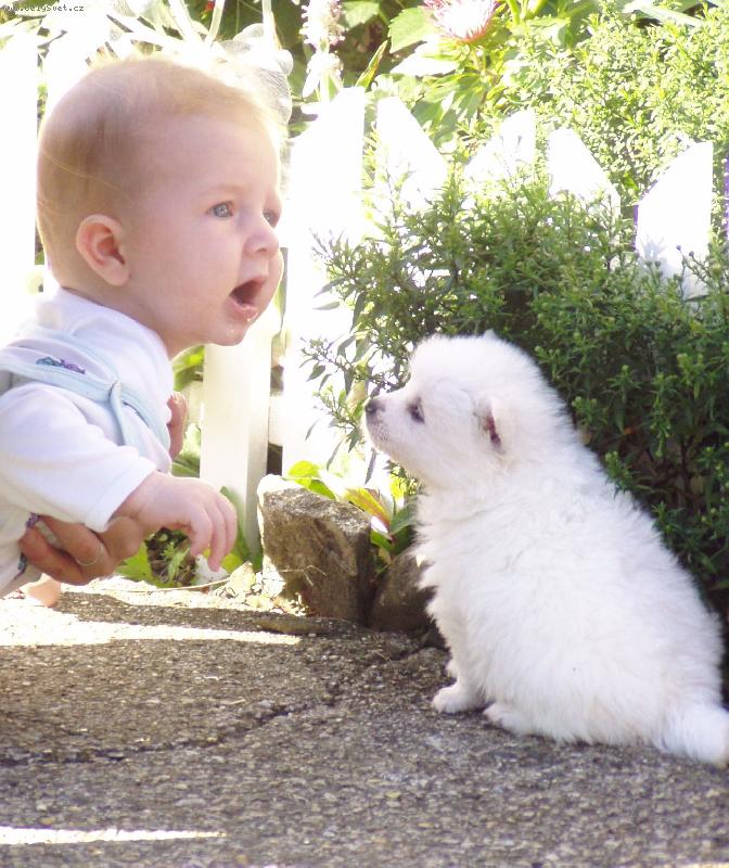 Foto: o �em si pov�daj�