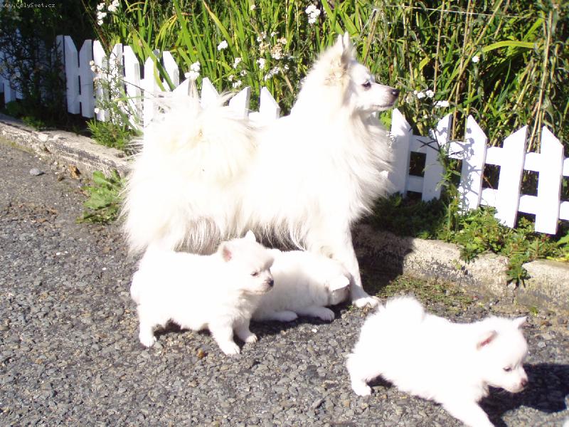 Foto: �t�nata na proch�zce