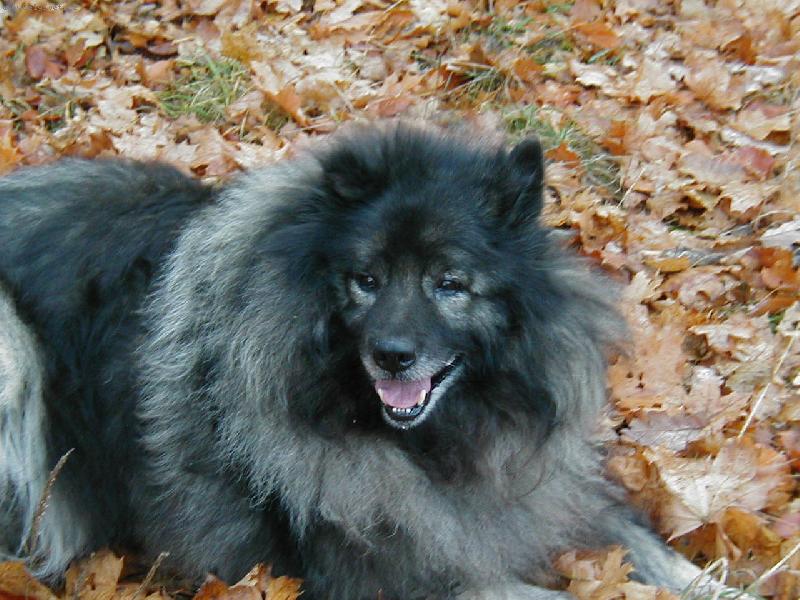 Foto: Kamar�d-Odpo�inek