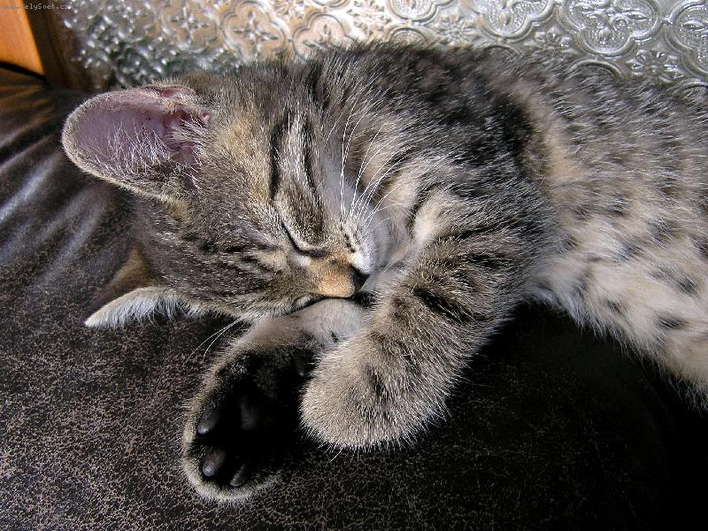 Foto: Mourinka
