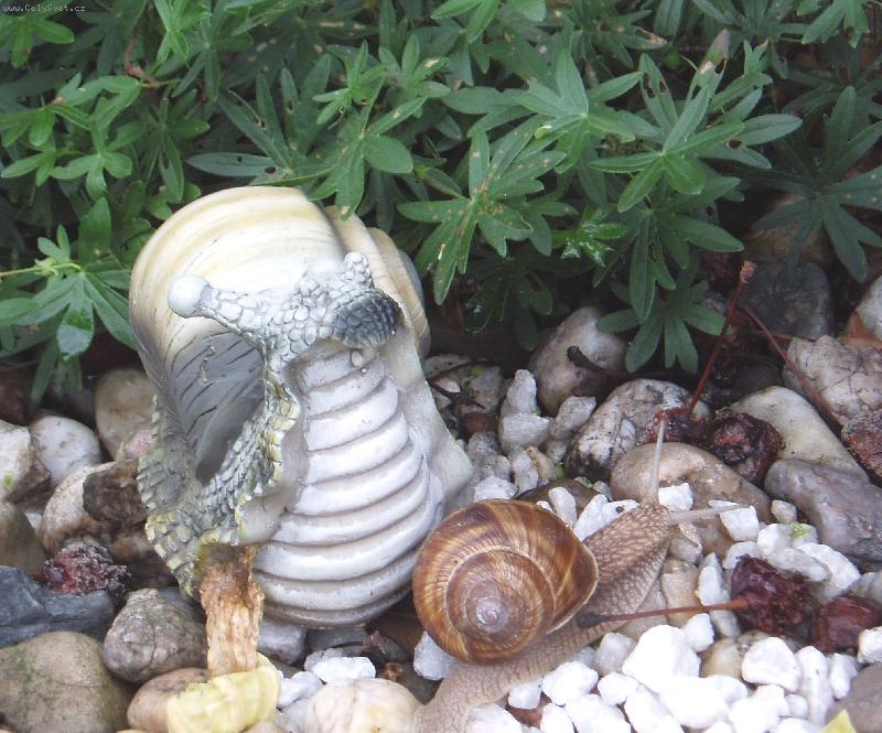 Foto: mrtv� a   �iv�