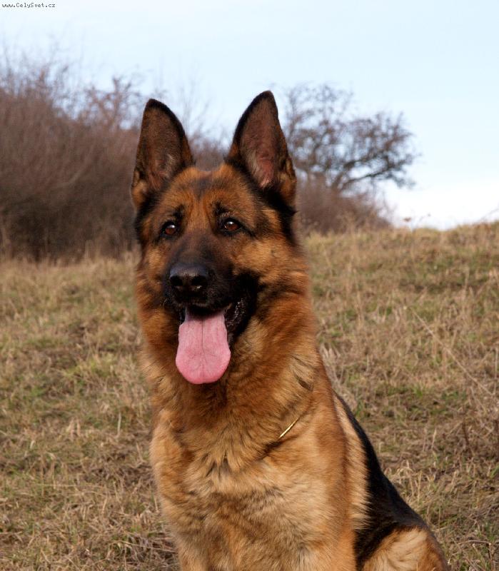 Foto: Zita
