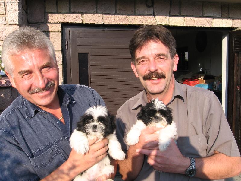 Foto: Vlci-S�ra a Niky