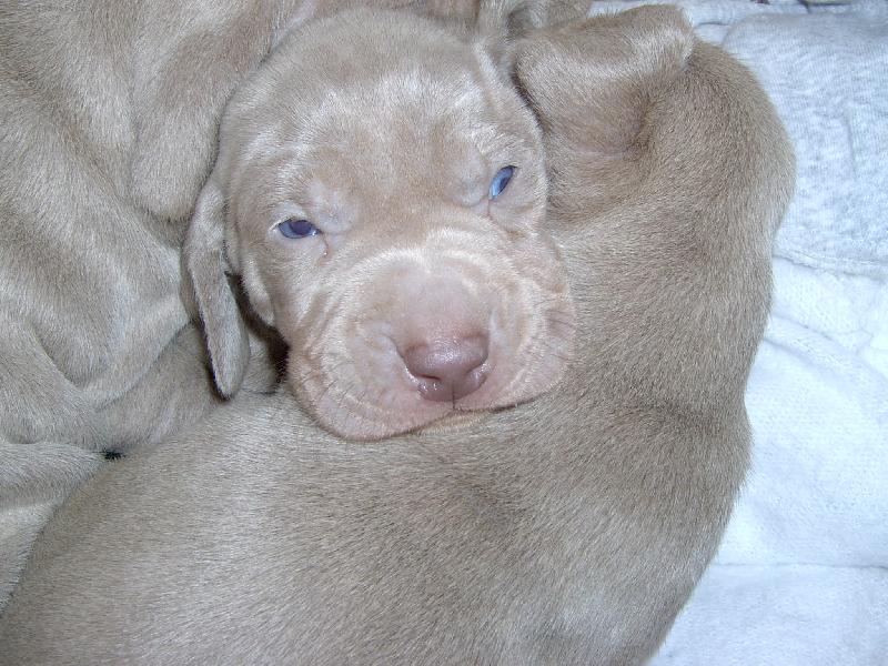 Foto: Blue eyes
