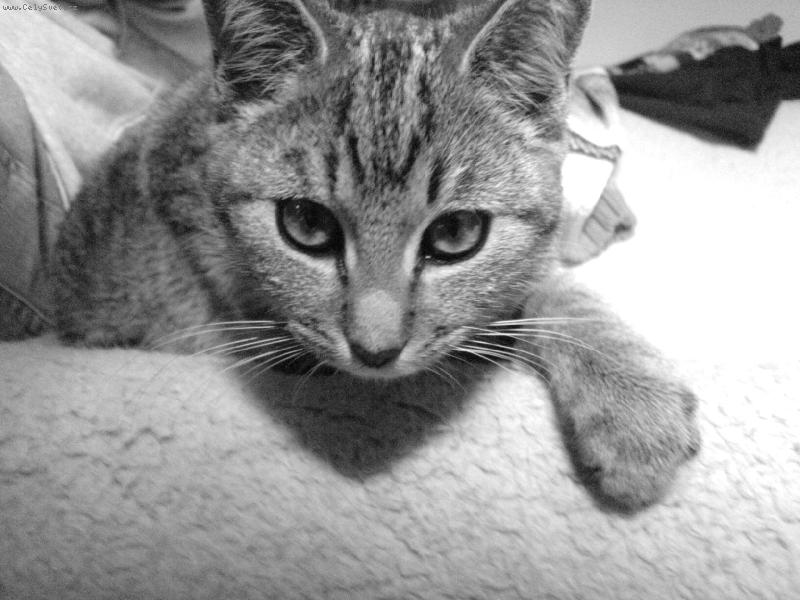 Foto: Micka