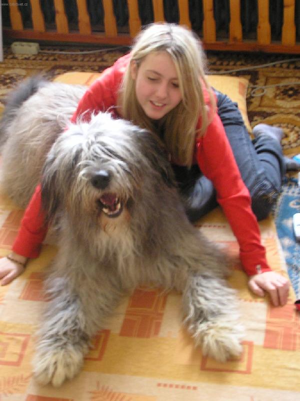 Foto: ps�k-m�j chlup��