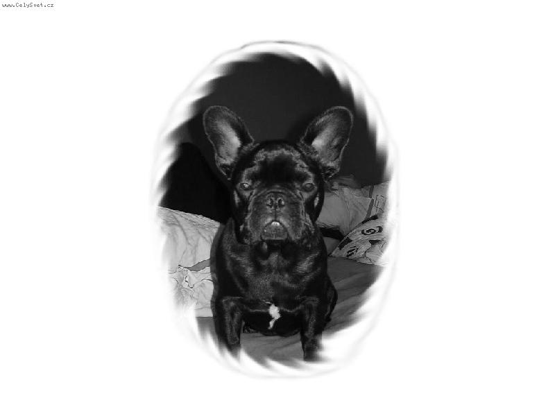 Foto: Lucky