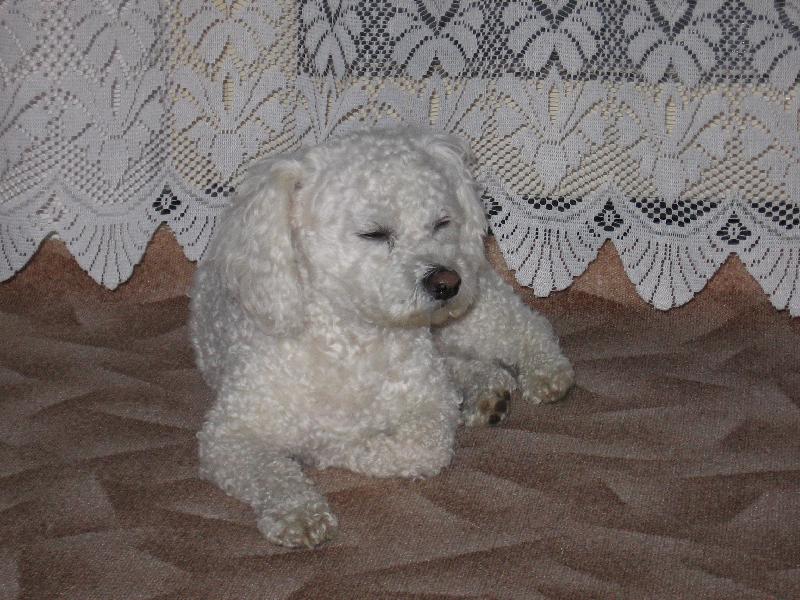 Foto: Mare�ek-Mare�ek