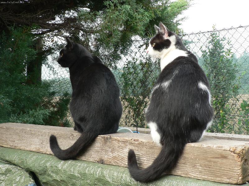 Foto: �ernob�l� siesta