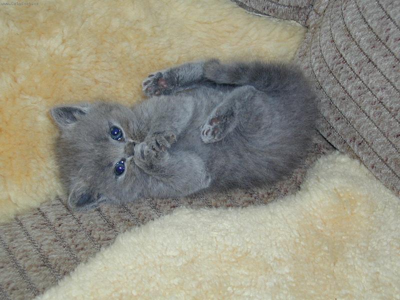 Foto: Miminko