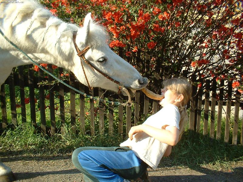 Foto: Ferda-P�lku j� p�lku ty