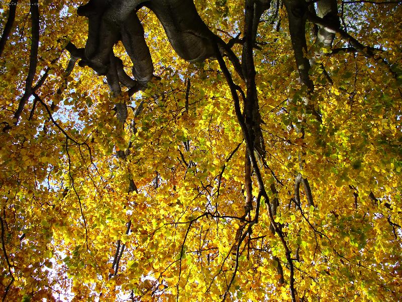 Foto: Hra barev