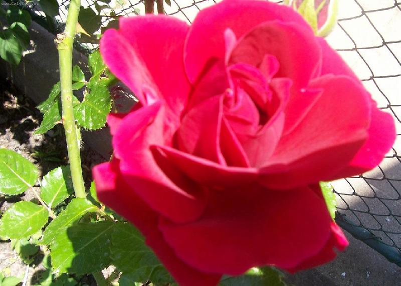 Foto: r��e