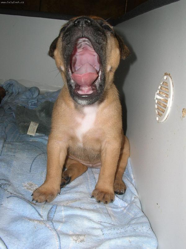 Foto: Madox
