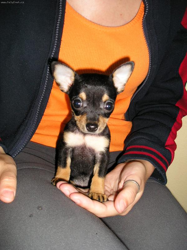 Foto: Nonie