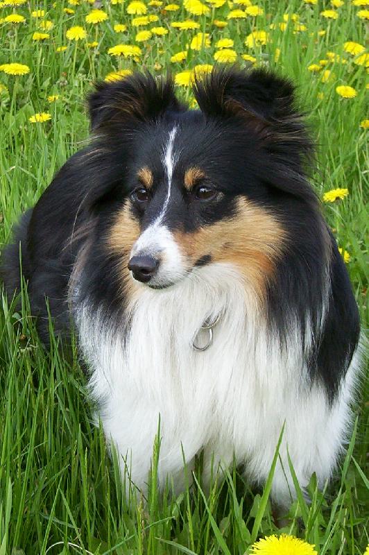 Foto: Sindynka