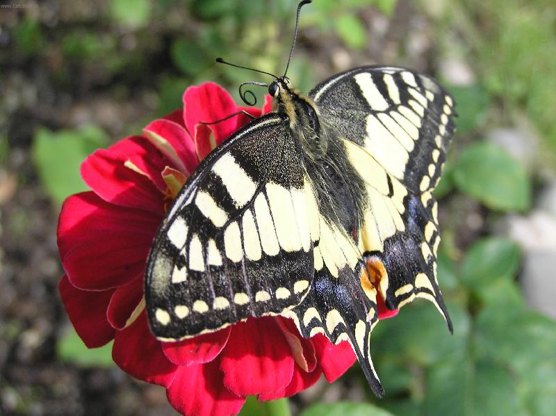 Foto: Jsem kr�sn�?