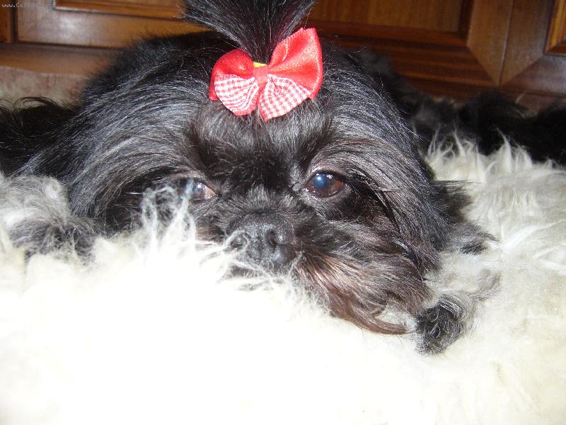 Foto: Lady