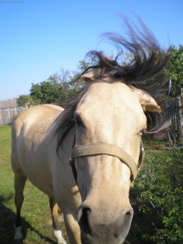 Foto: Adina-Adu�ka