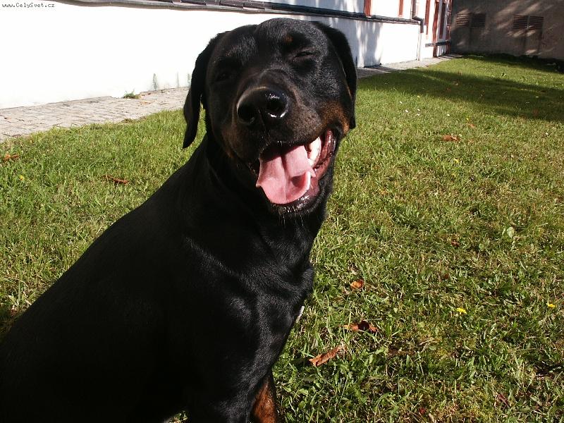 Foto: sm�ch