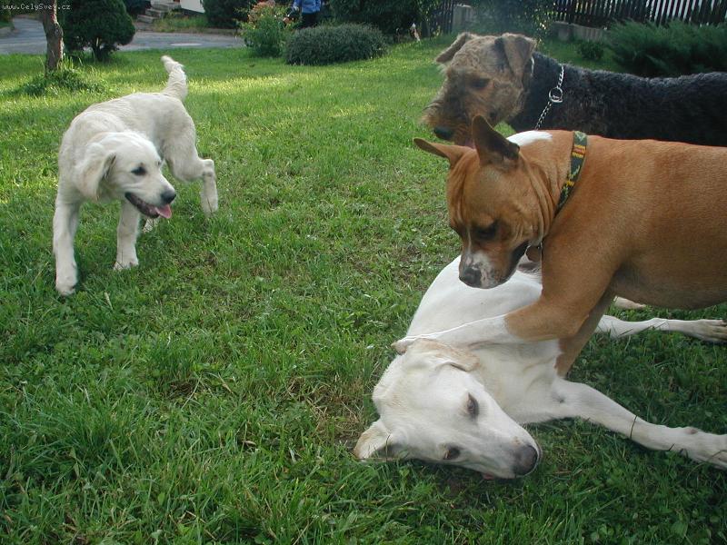 Foto: Jessy-valn� hromada