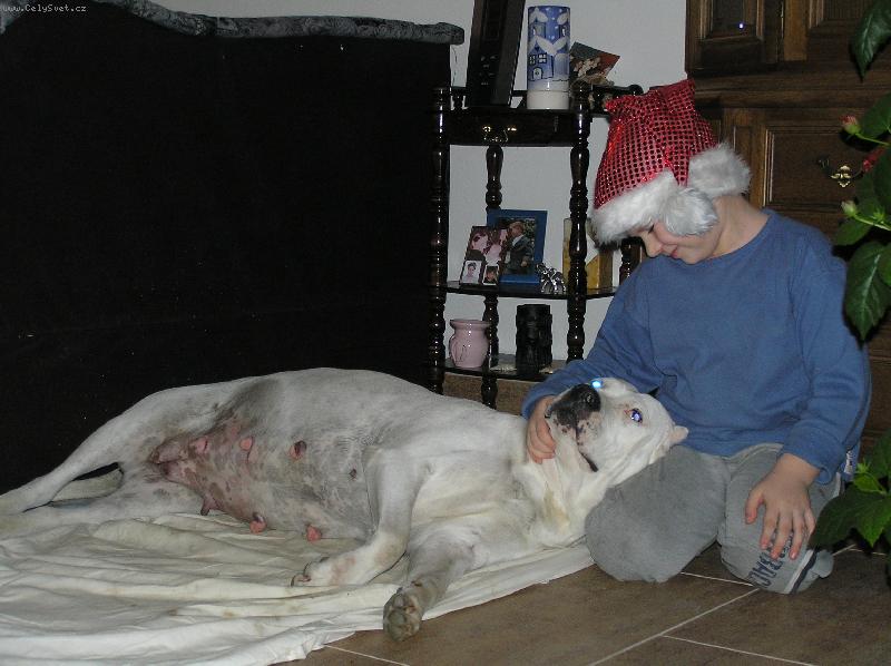 Foto: Vesel� v�noce06