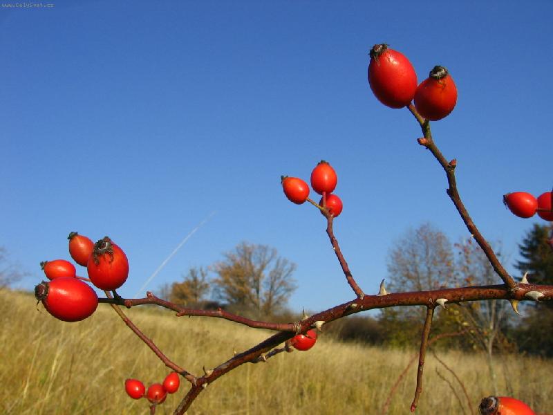 Foto: no nen� to n�dhera?