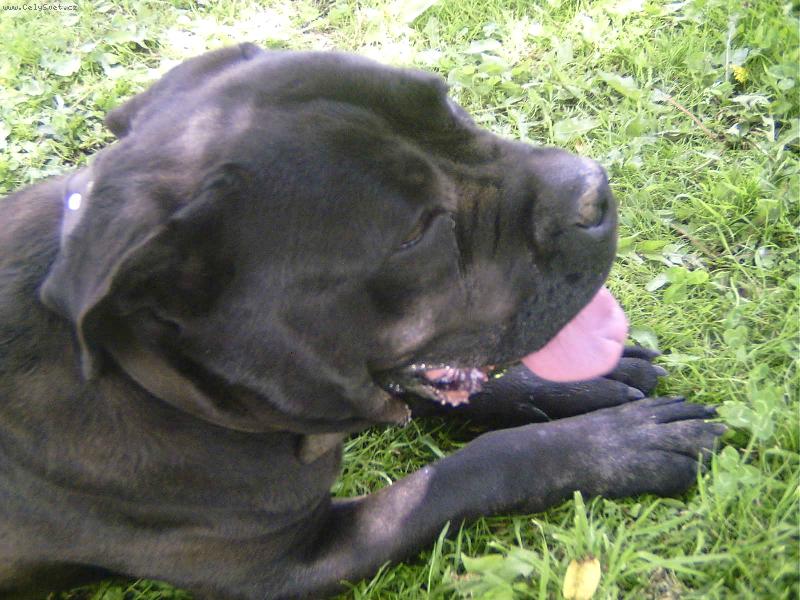 Foto: BANDO�KA RONYNKA