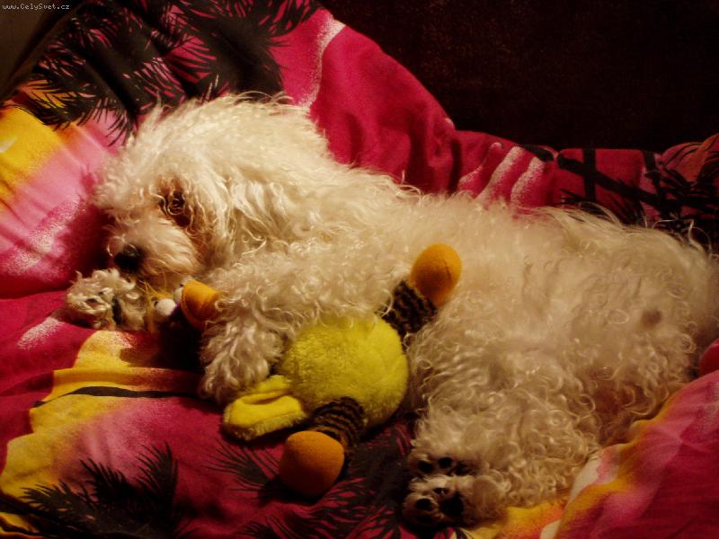 Foto: spink�m