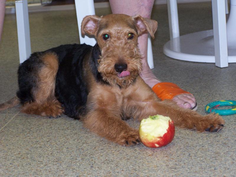 Foto: M�am, vitam�ny