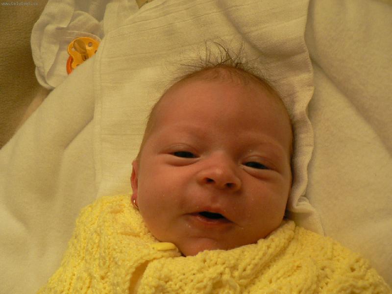 Foto: N� mil��ek-Miminko