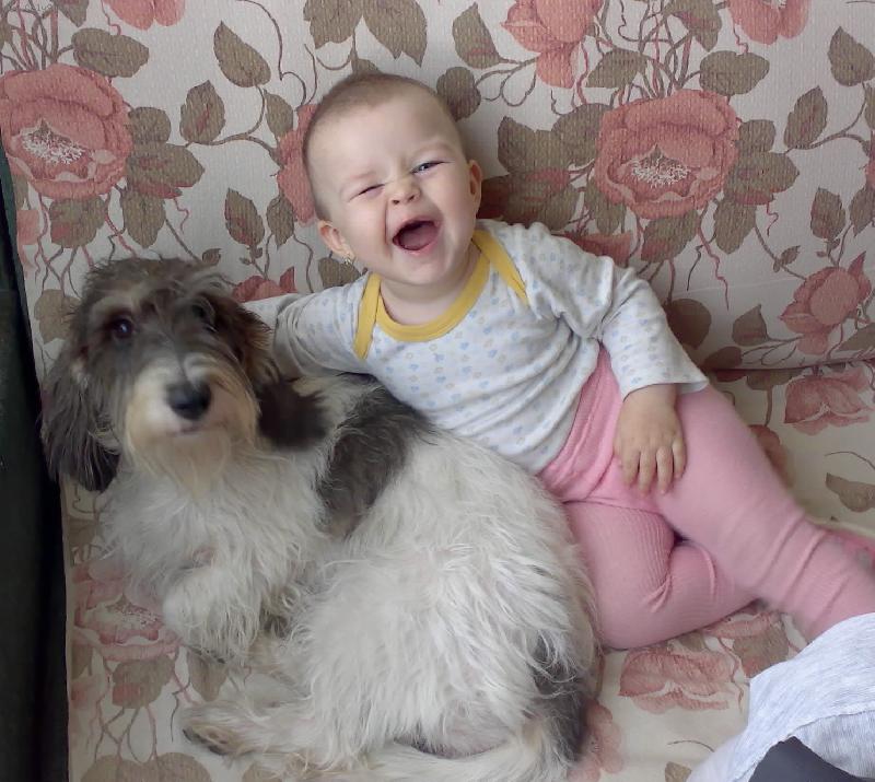 Foto: m�me se moc r�di