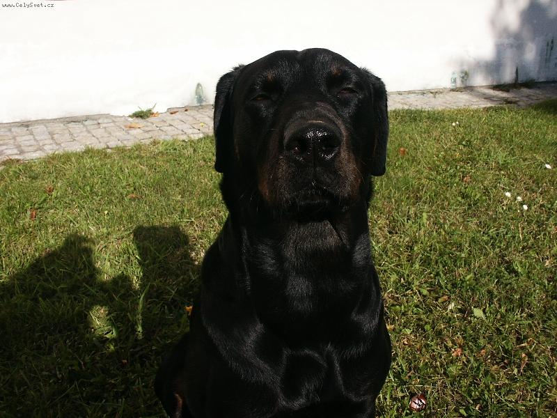 Foto: brita