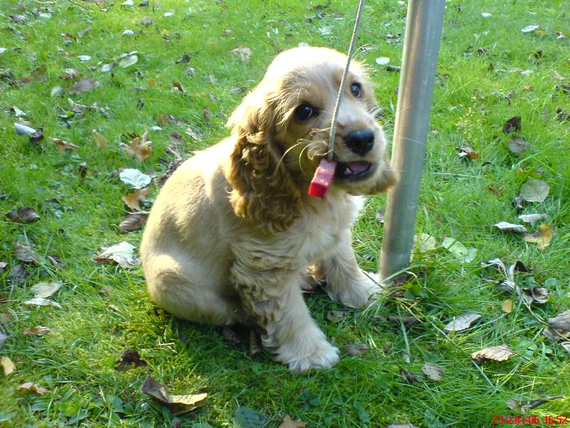 Foto: charlie